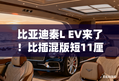 比亚迪秦L EV来了！比插混版短11厘米，换新前脸