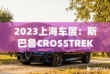 2023上海车展:斯巴鲁CROSSTREK亮相 2023上海车展:斯巴鲁CROSSTREK亮相