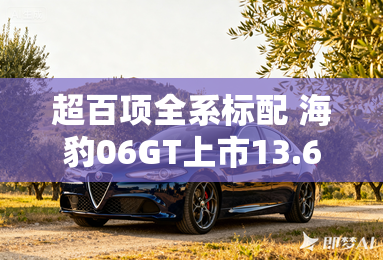 超百项全系标配 海豹06GT上市13.68万起