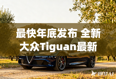 最快年底发布 全新大众Tiguan最新谍照