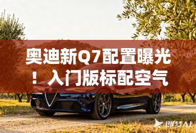 奥迪新Q7配置曝光！入门版标配空气悬架，售价更便宜