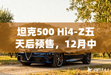 坦克500 Hi4-Z五天后预售，12月中到店！2种颜色