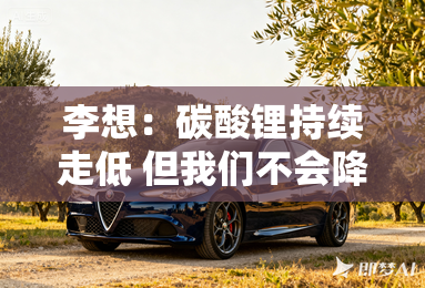 李想:碳酸锂持续走低 但我们不会降价 李想:碳酸锂持续走低 但我们不会降价