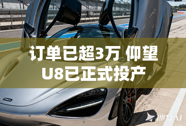 订单已超3万 仰望U8已正式投产