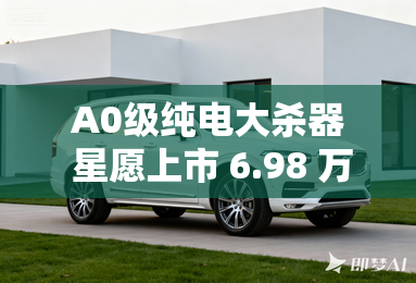 A0级纯电大杀器 星愿上市 6.98 万元起 A0级纯电大杀器 星愿上市 6.98 万元起