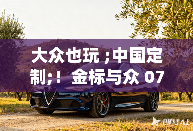 大众也玩 ;中国定制;!金标与众 07亮相工信部 大众也玩 ;中国定制;!金标与众 07亮相工信部
