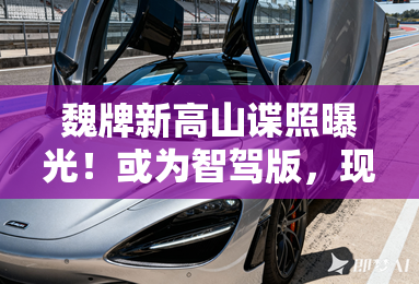 魏牌新高山谍照曝光！或为智驾版，现款4S店优惠7万