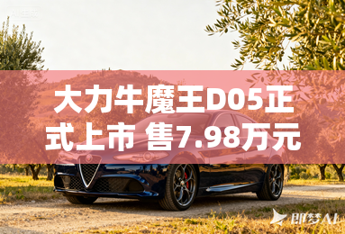 大力牛魔王D05正式上市 售7.98万元起
