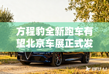 方程豹全新跑车有望北京车展正式发布