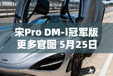 宋Pro DM-i冠军版更多官图 5月25日上市