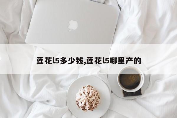 莲花l5多少钱,莲花l5哪里产的