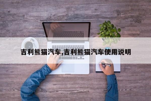 吉利熊猫汽车,吉利熊猫汽车使用说明