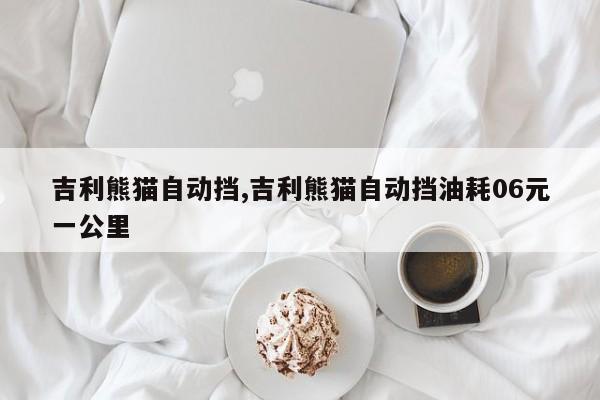 吉利熊猫自动挡,吉利熊猫自动挡油耗06元一公里