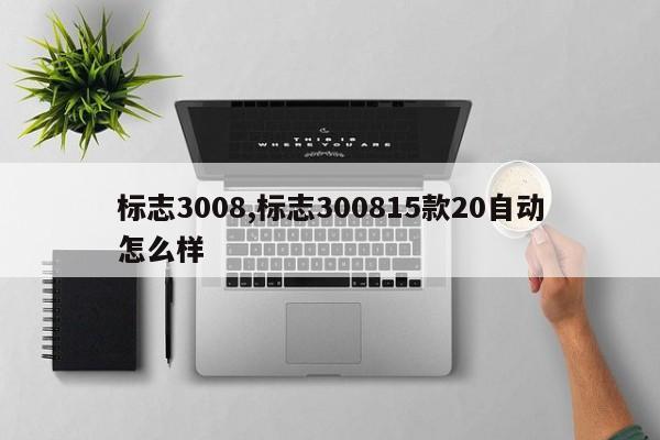 标志3008,标志300815款20自动怎么样