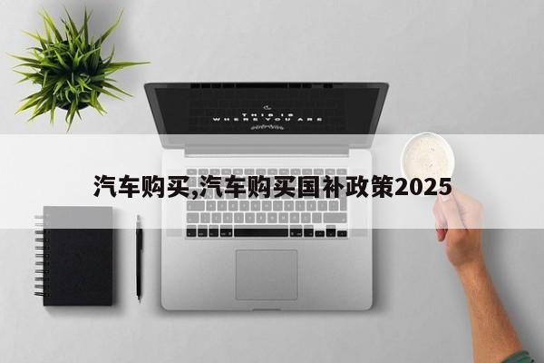 汽车购买,汽车购买国补政策2025