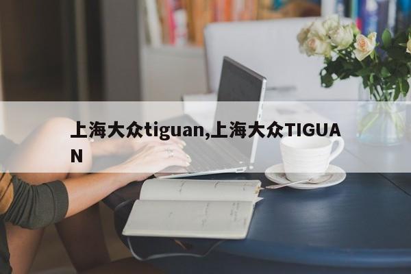 上海大众tiguan,上海大众TIGUAN