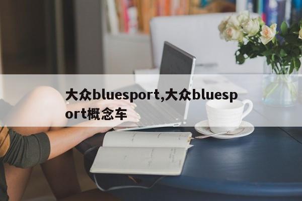 大众bluesport,大众bluesport概念车