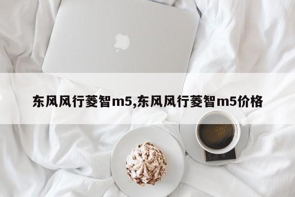 东风风行菱智m5,东风风行菱智m5价格